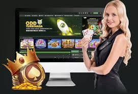 139 slots ဘင်ဂို Myanmar Online Bingo ဂိမ်းအခင်းအကျင်း